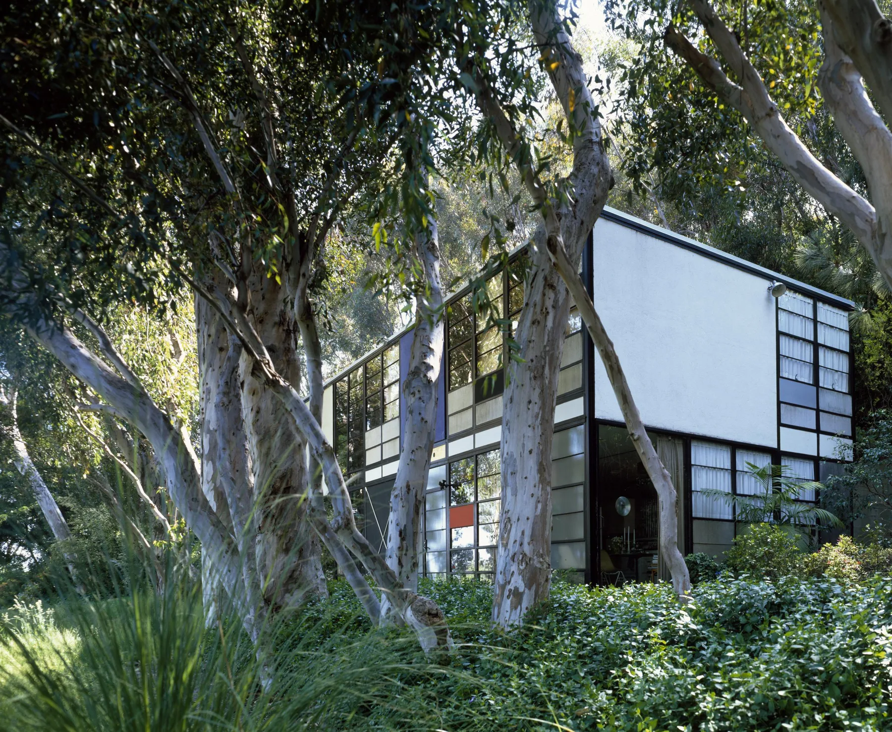 The Eames House in Pacific Palisades: the steel-framed façade with its coloured panels behind eucalyptus trees.