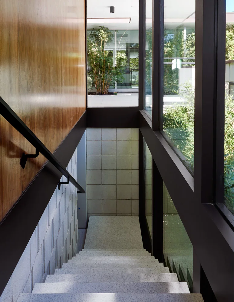 The stair, walnut and glass.