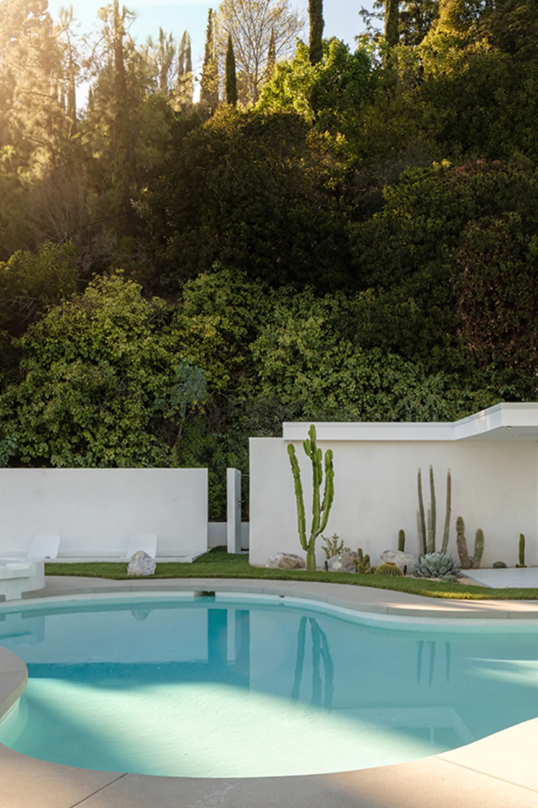 Rising Glen at golden hour: the white single-storey house beyond its freeform pool, sun through the hillside trees.