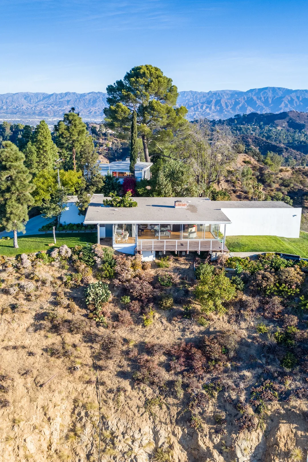 The Chuey House on its promontory above Los Angeles, a pine rising beside the glass pavilion.