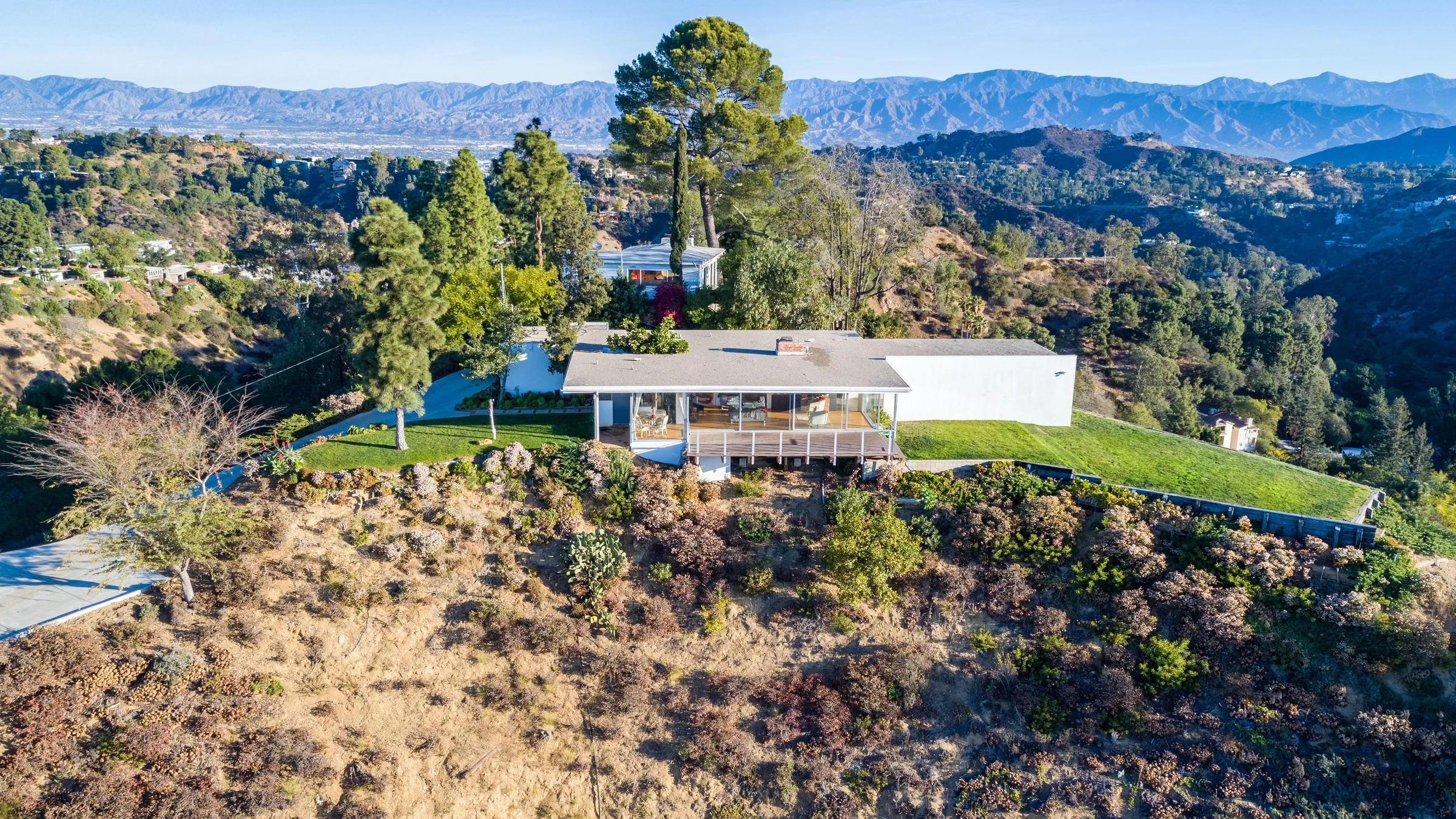 The Chuey House on its promontory above Los Angeles, a pine rising beside the glass pavilion.